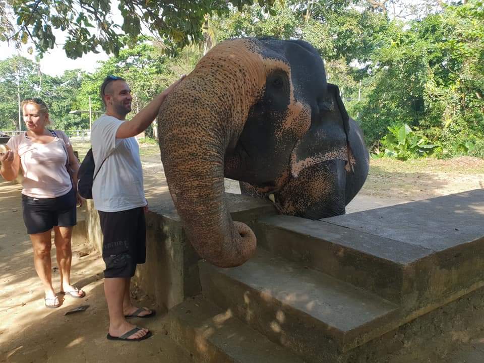 Sri lanka s českým průvodcem - 9 denní poznávací zájezd Srí Lankou