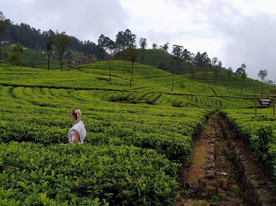 Sri lanka s českým průvodcem - 9 denní poznávací zájezd Srí Lankou