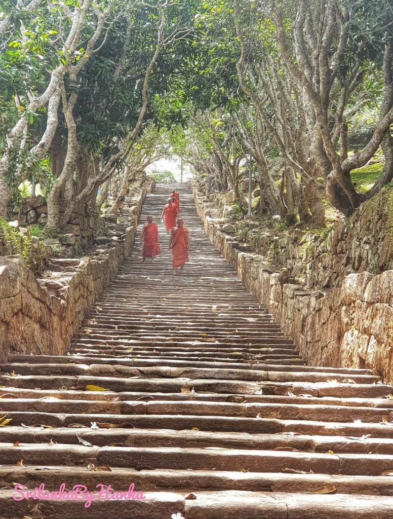 Sri lanka s českým průvodcem - 9 denní poznávací zájezd Srí Lankou